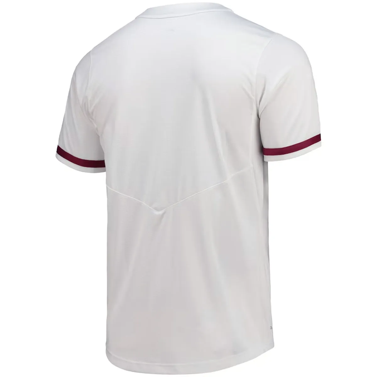 Nike Unisex 2025 Florida State Seminole Logo Softball Jersey - White